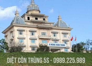 Công ty 5S diệt mối tại nhà máy xi măng Xuân Thành Quảng Nam