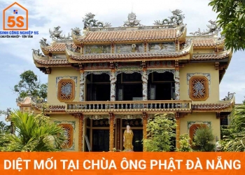 Diệt mối tại chùa Ông Phật Đà Nẵng