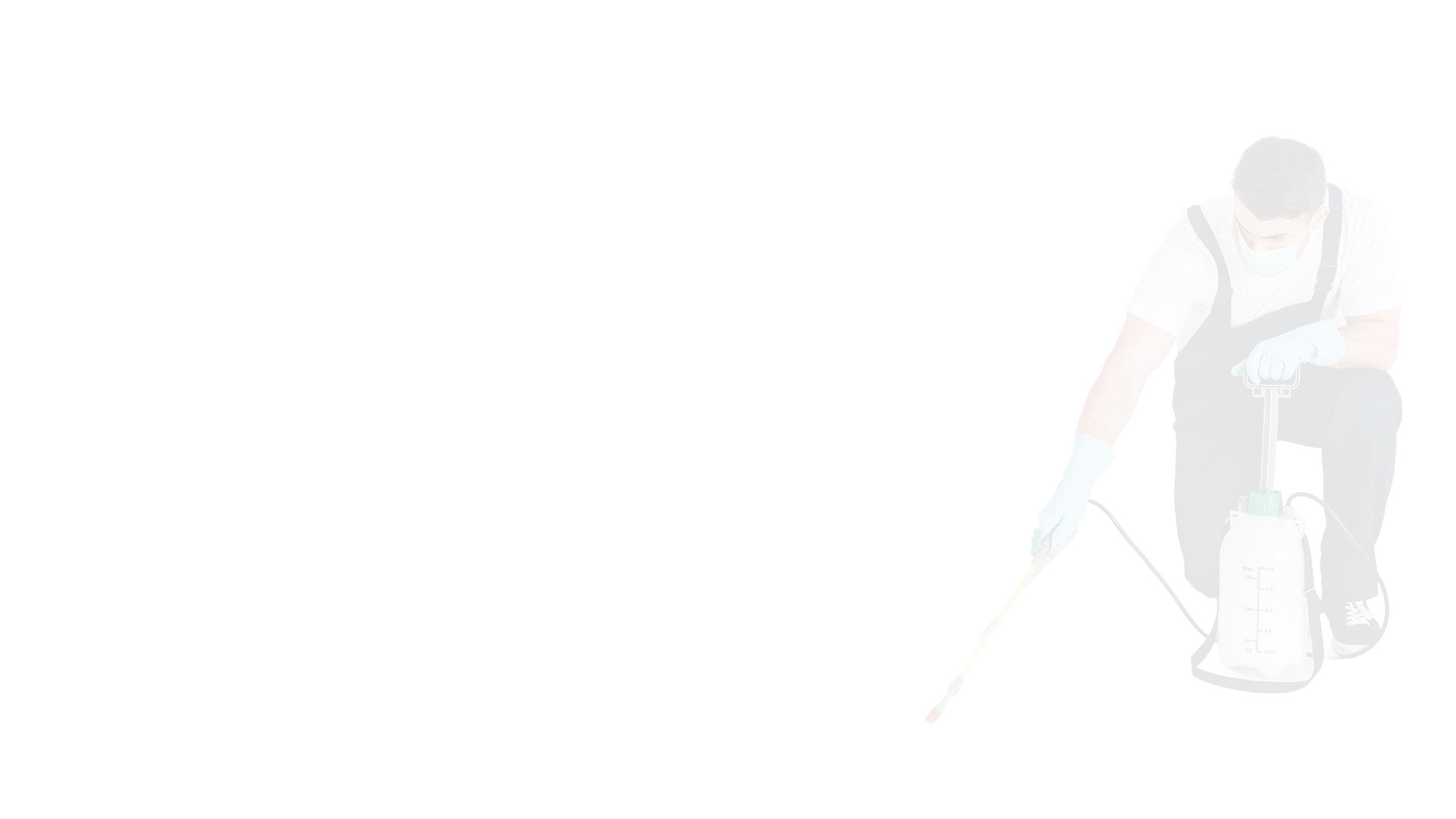bg1
