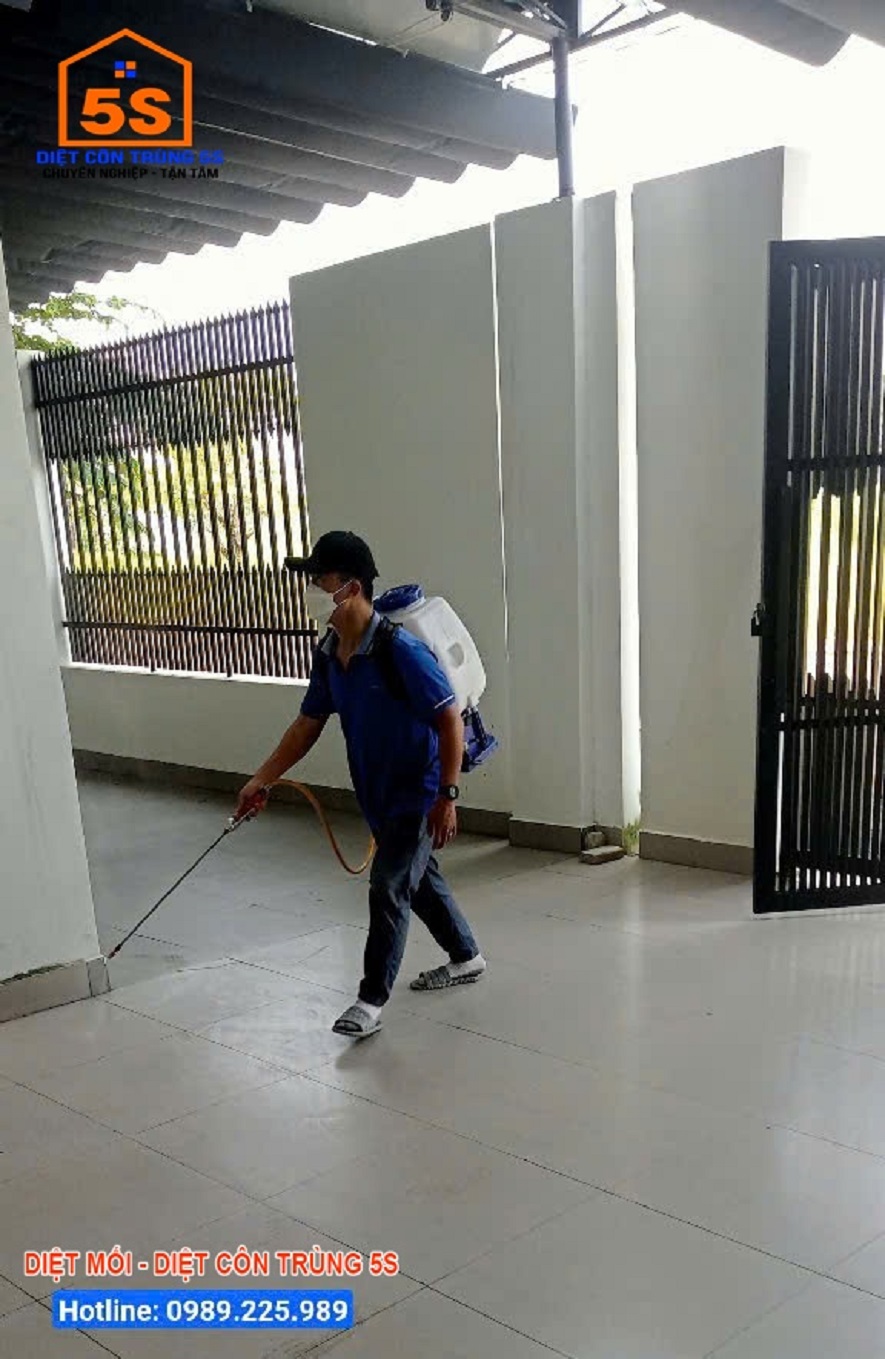 Dịch Vụ Diệt Chuột 7 Dịch vụ diệt bọ chét tại Đà Nẵng