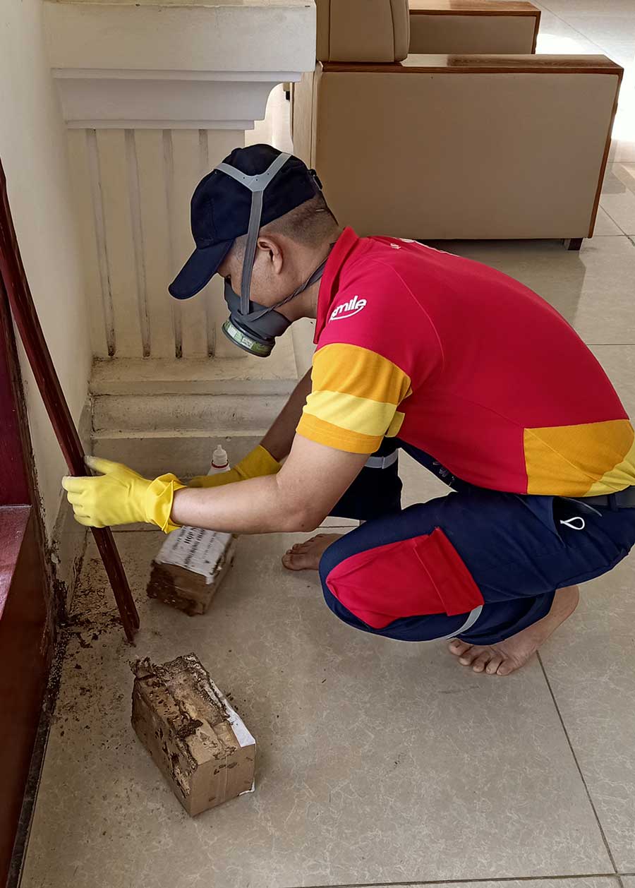 dịch vụ diệt côn trùng uy tín đà nẵng