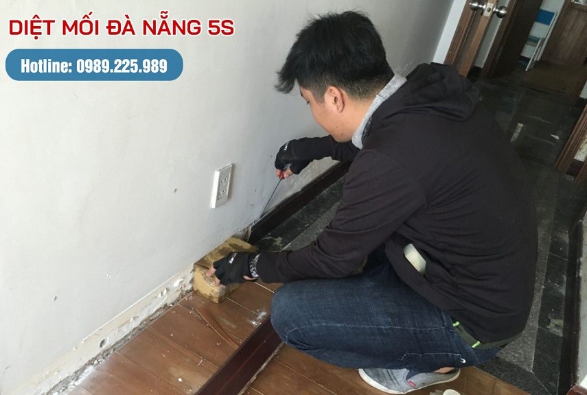 Mẹo diệt mối trong nhà của bạn bằng các biện pháp dân gian 8 Diệt mối mọt tường