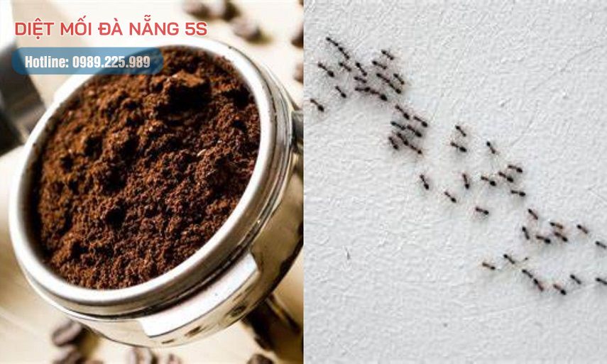 Mẹo diệt mối trong nhà của bạn bằng các biện pháp dân gian 16 Bã cà phê sau khi dùng có thể diệt kiến