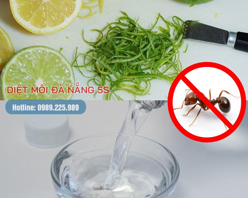 Mẹo diệt mối trong nhà của bạn bằng các biện pháp dân gian 14 Sử dụng chanh hoặc giấm trắng