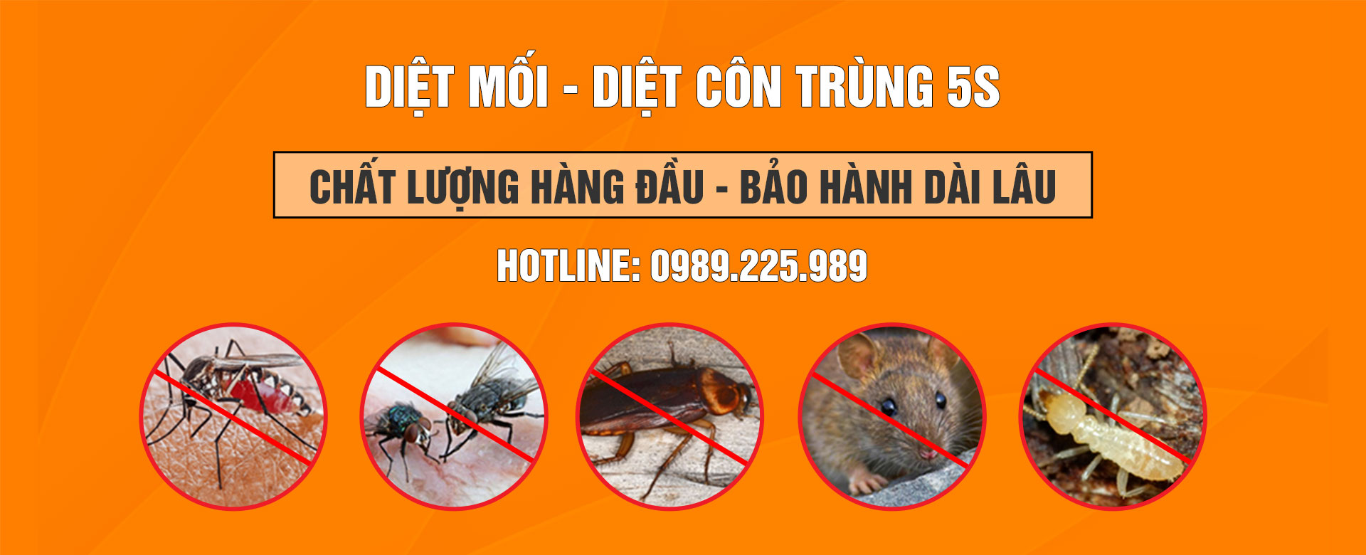 diệt côn trùng đà nẵng
