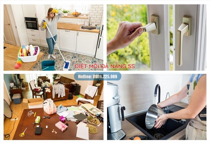 Mẹo diệt mối trong nhà của bạn bằng các biện pháp dân gian 12 Thường xuyên lau dọn nhà và vật dụng