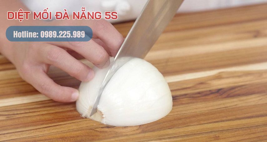 Mẹo diệt mối trong nhà của bạn bằng các biện pháp dân gian 13 Cắt khúc hành tây