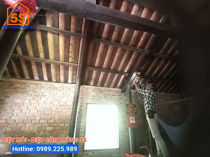 Kiểm tra tình trạng và vị trí mối xuất hiện