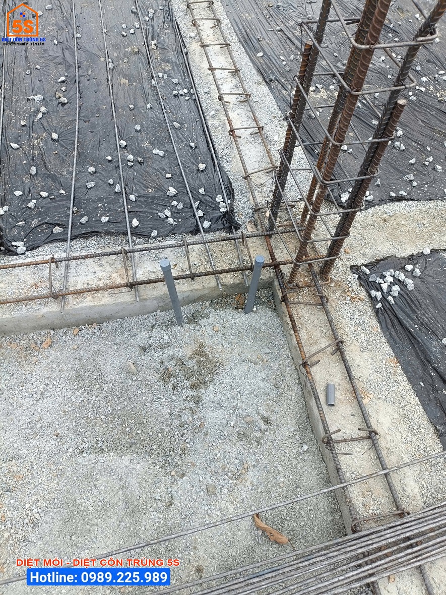 Diệt mối Ủy ban MTTQ Việt Nam thành phố Đà Nẵng tại quận Hải Châu 13 chong moi cong trinh tai duc pho quang ngai8