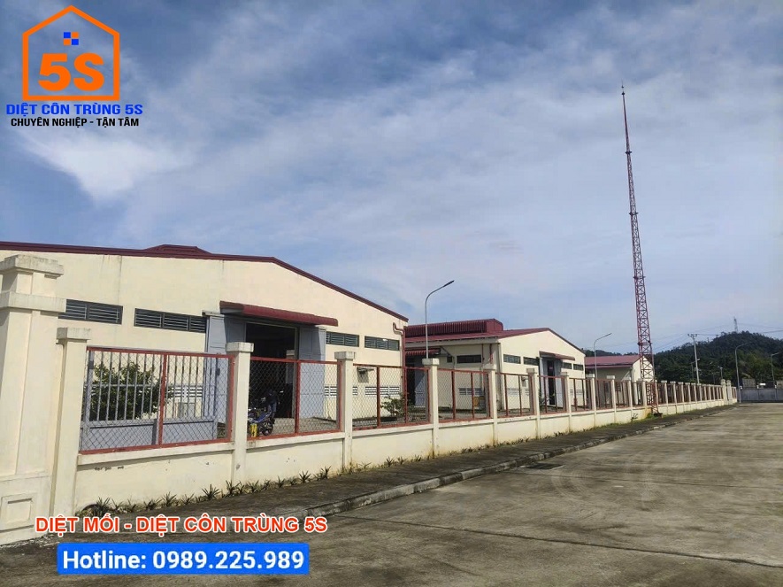 Khu vực bên hông nhà kho