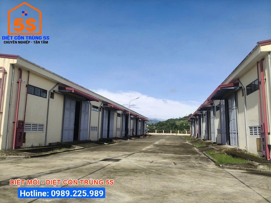 Khảo sát hiện trạng, vị trí trước khi tiến hành diệt mối