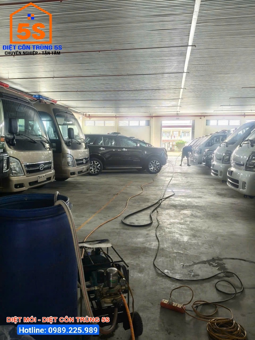 Tiến hành phun thuốc cho kho