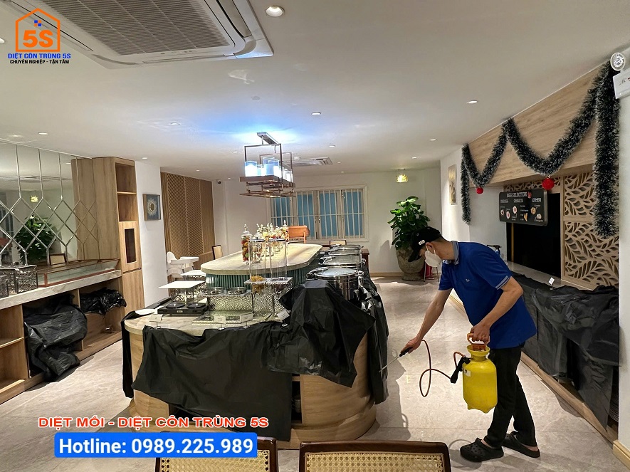 Dịch vụ diệt côn trùng Quảng Nam - Giải pháp an toàn, hiệu quả tận gốc