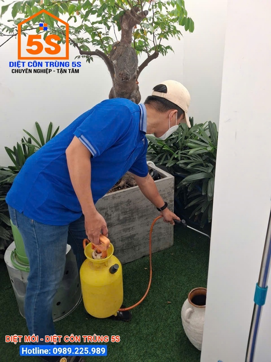Dịch Vụ Diệt Gián 15 Dịch vụ diệt côn trùng Tam Kỳ - Giải pháp an toàn, hiệu quả tận gốc