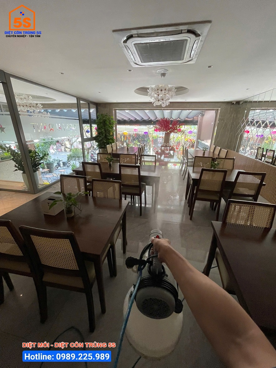 Dịch Vụ Diệt Gián 16 Dịch vụ diệt côn trùng Tam Kỳ
