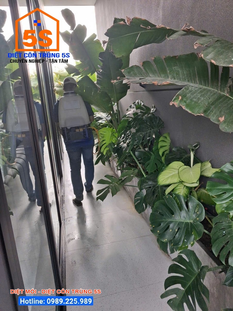 Dịch Vụ Diệt Gián 17 Dịch vụ diệt côn trùng Tam Kỳ