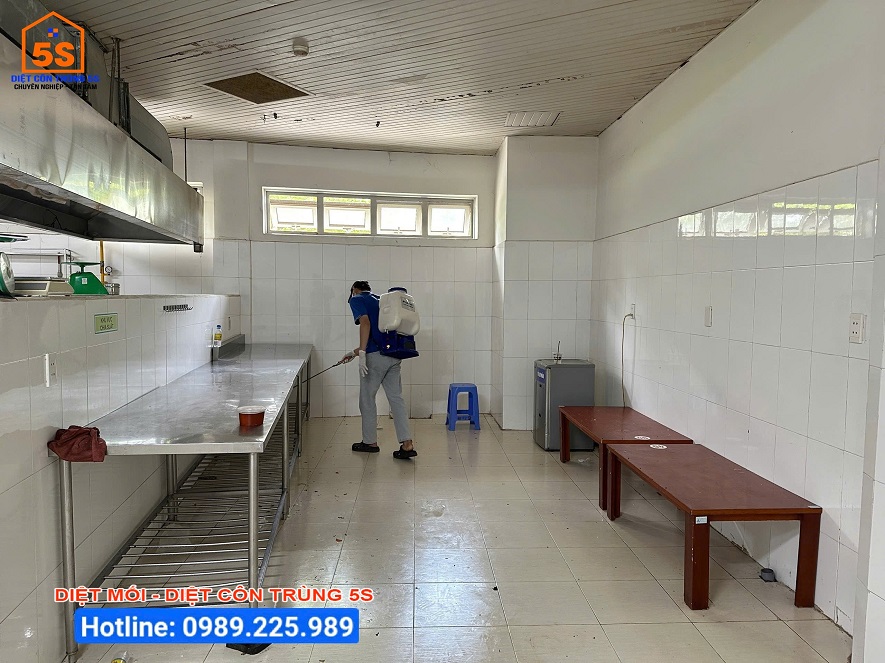 Dịch Vụ Diệt Gián 7 Dịch vụ diệt côn trùng Tam Kỳ - Giải pháp an toàn, hiệu quả tận gốc