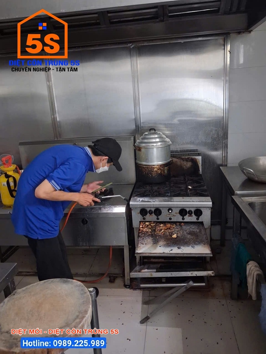 Dịch Vụ Diệt Gián 21 Dịch vụ diệt côn trùng Tam Kỳ