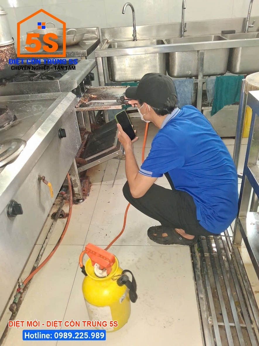 Dịch Vụ Diệt Gián 22 Dịch vụ diệt côn trùng Tam Kỳ