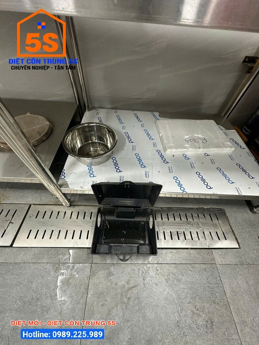 Dịch Vụ Diệt Gián 23 Diệt côn trùng Tam Kỳ