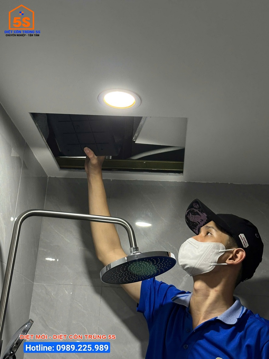 Dịch Vụ Diệt Gián 24 Dịch vụ diệt côn trùng Tam Kỳ - Giải pháp an toàn, hiệu quả tận gốc