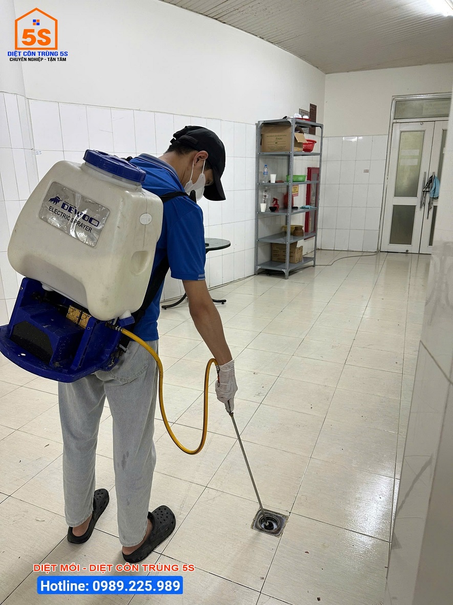 Dịch Vụ Diệt Gián 8 Dịch vụ Diệt côn trùng Tam Kỳ
