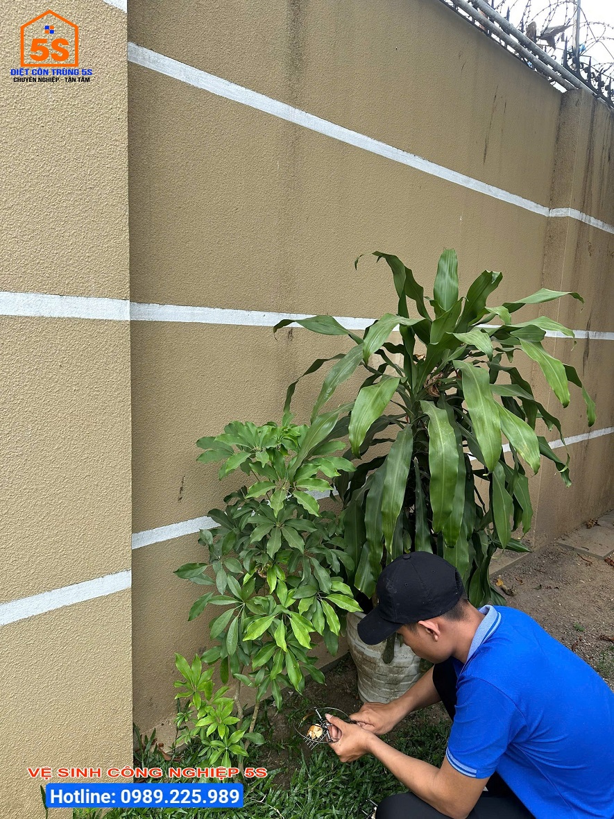 Dịch Vụ Diệt Gián 27 Diệt côn trùng Tam Kỳ