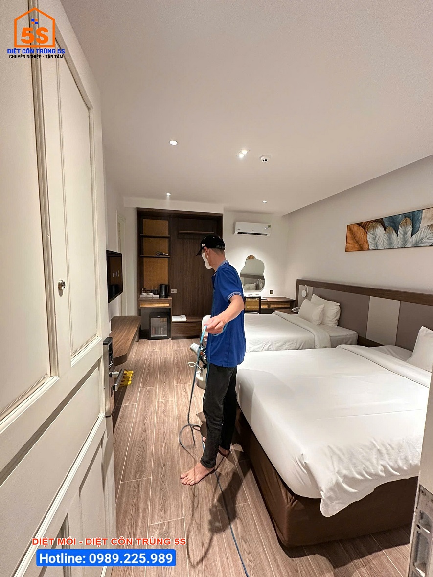Dịch Vụ Diệt Gián 9 Diệt côn trùng Tam Kỳ