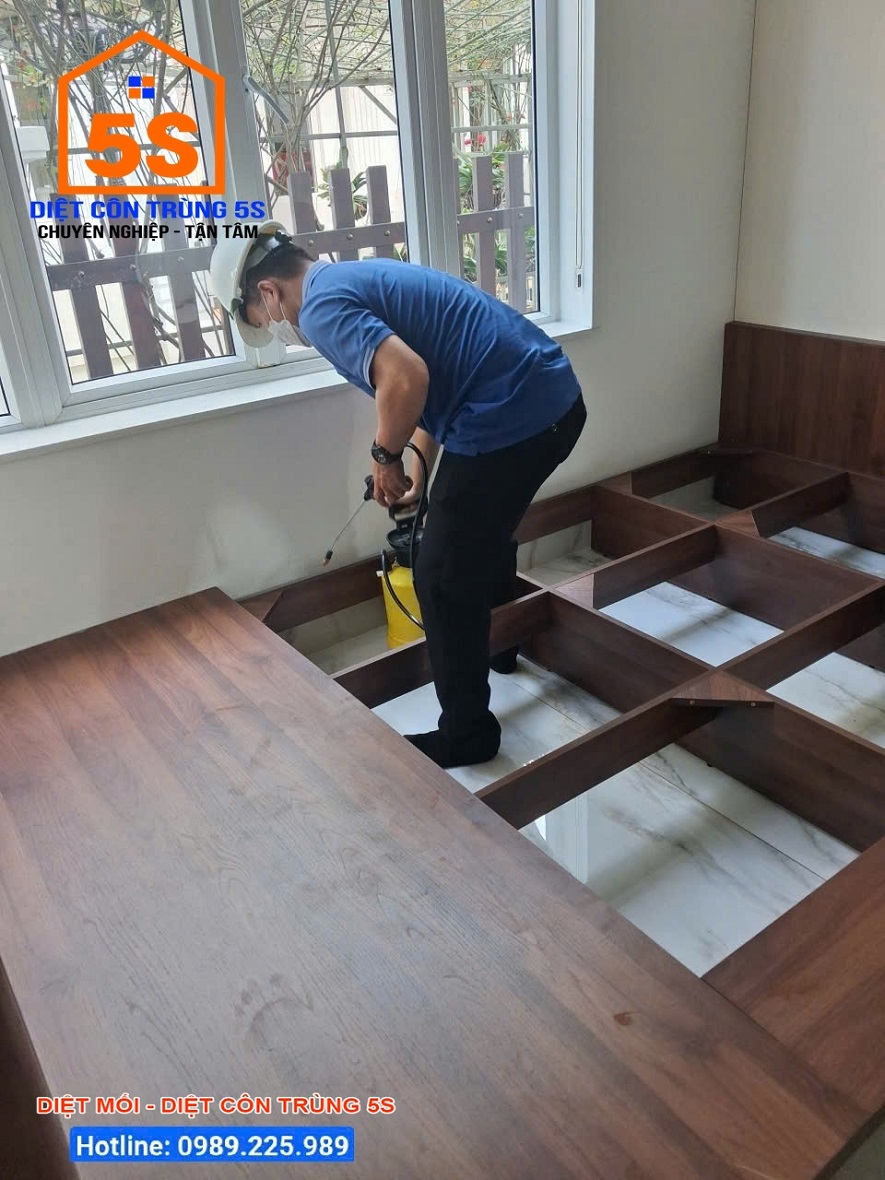 Dịch Vụ Diệt Gián 10 Diệt côn trùng Tam Kỳ