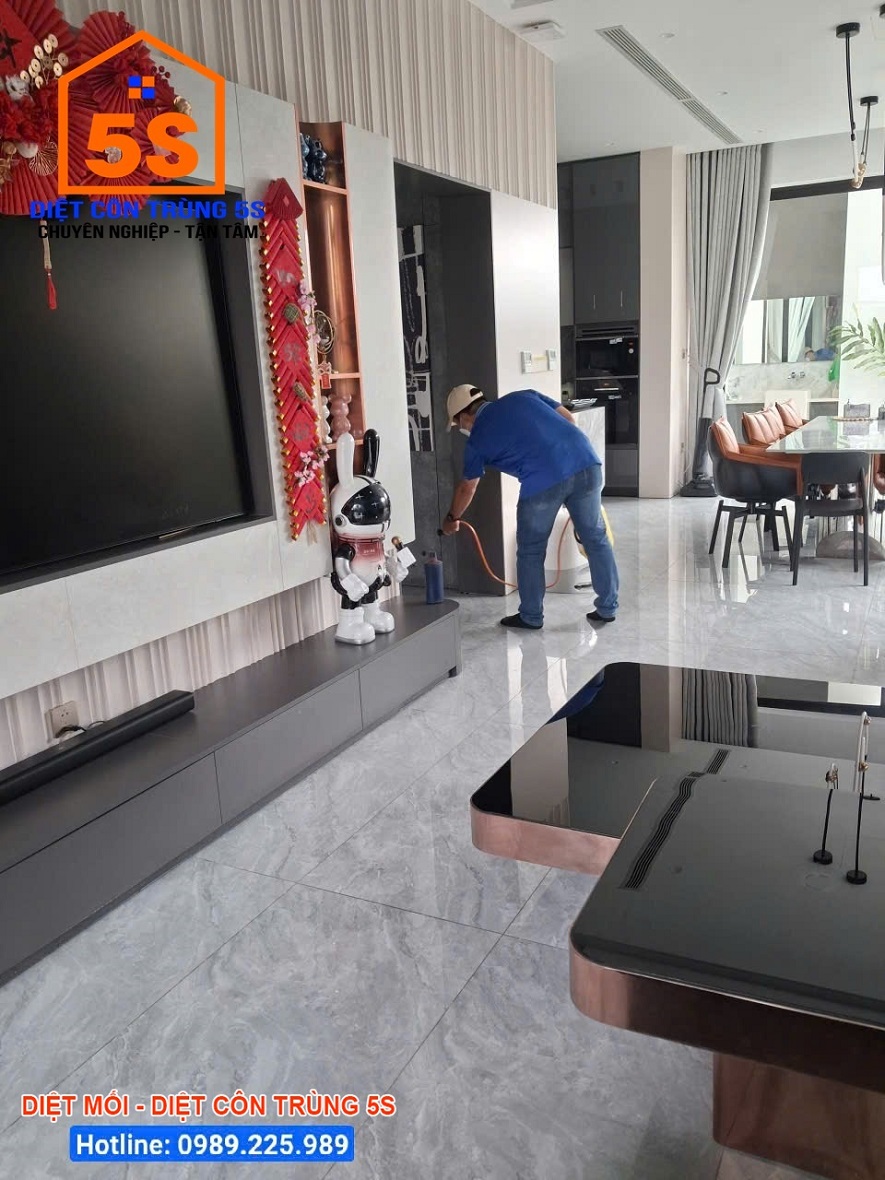 Dịch Vụ Diệt Gián 12 Diệt côn trùng Tam Kỳ