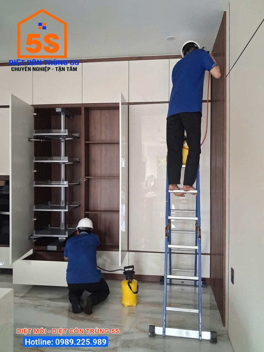 Dịch Vụ Diệt Gián 13 Diệt côn trùng Tam Kỳ